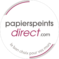 PAPIERSPEINTSDIRECT.COM